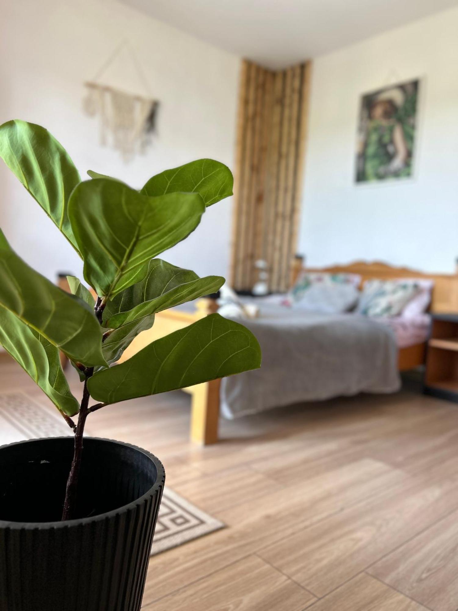 קלוצ'קובצה Apartamenty Adamcykowka Blisko Velo Czorsztyn! מראה חיצוני תמונה